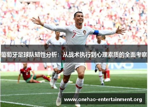 葡萄牙足球队韧性分析：从战术执行到心理素质的全面考察